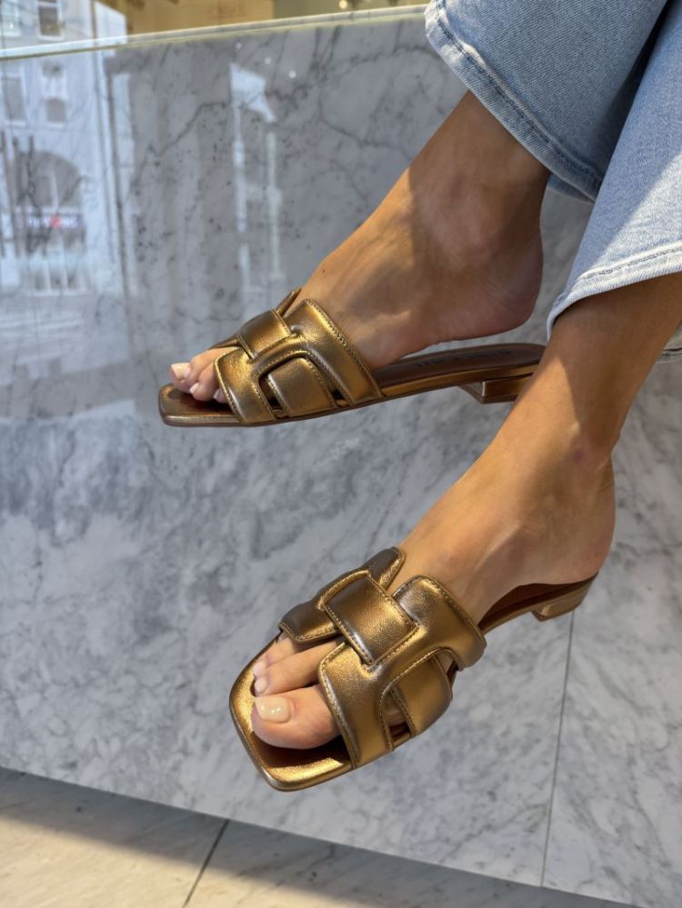  BRONS